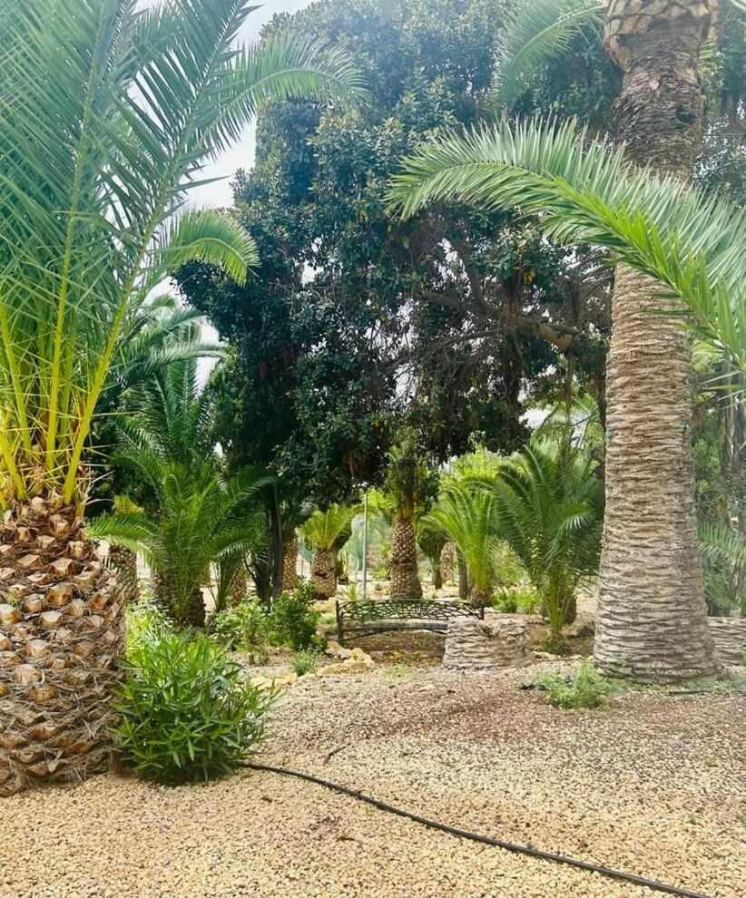 Sol Mediterraneo Palm Beach 3 Villajoyosa Kültér fotó